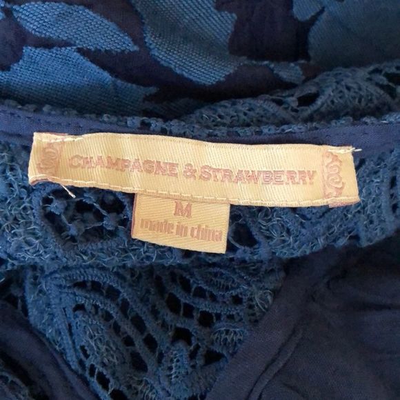 Champagne & Strawberry Blue Lace Reunion on the Rhine Dress size Medium - Picture 7 of 12